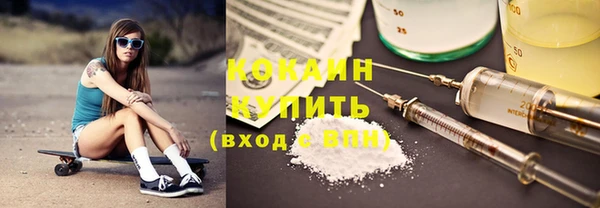 apvp Михайлов