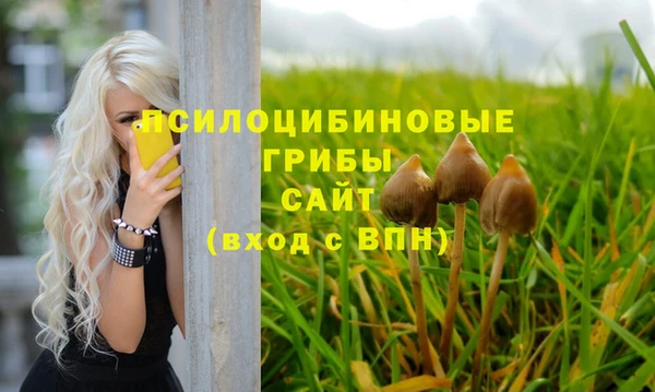 apvp Михайлов