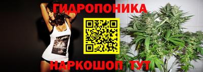 мяу мяу мука Кандалакша