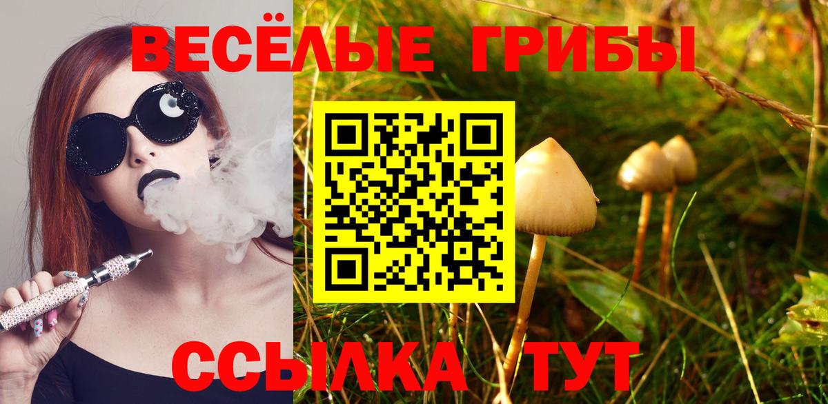 Псилоцибиновые грибы MAGIC MUSHROOMS Симферополь